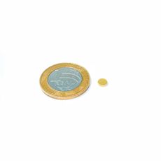 Ímã Neodímio Ø 5x1,3 mm N35 Dourado